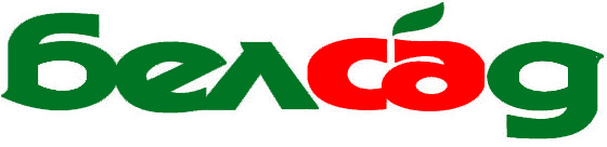 Inc. 5000